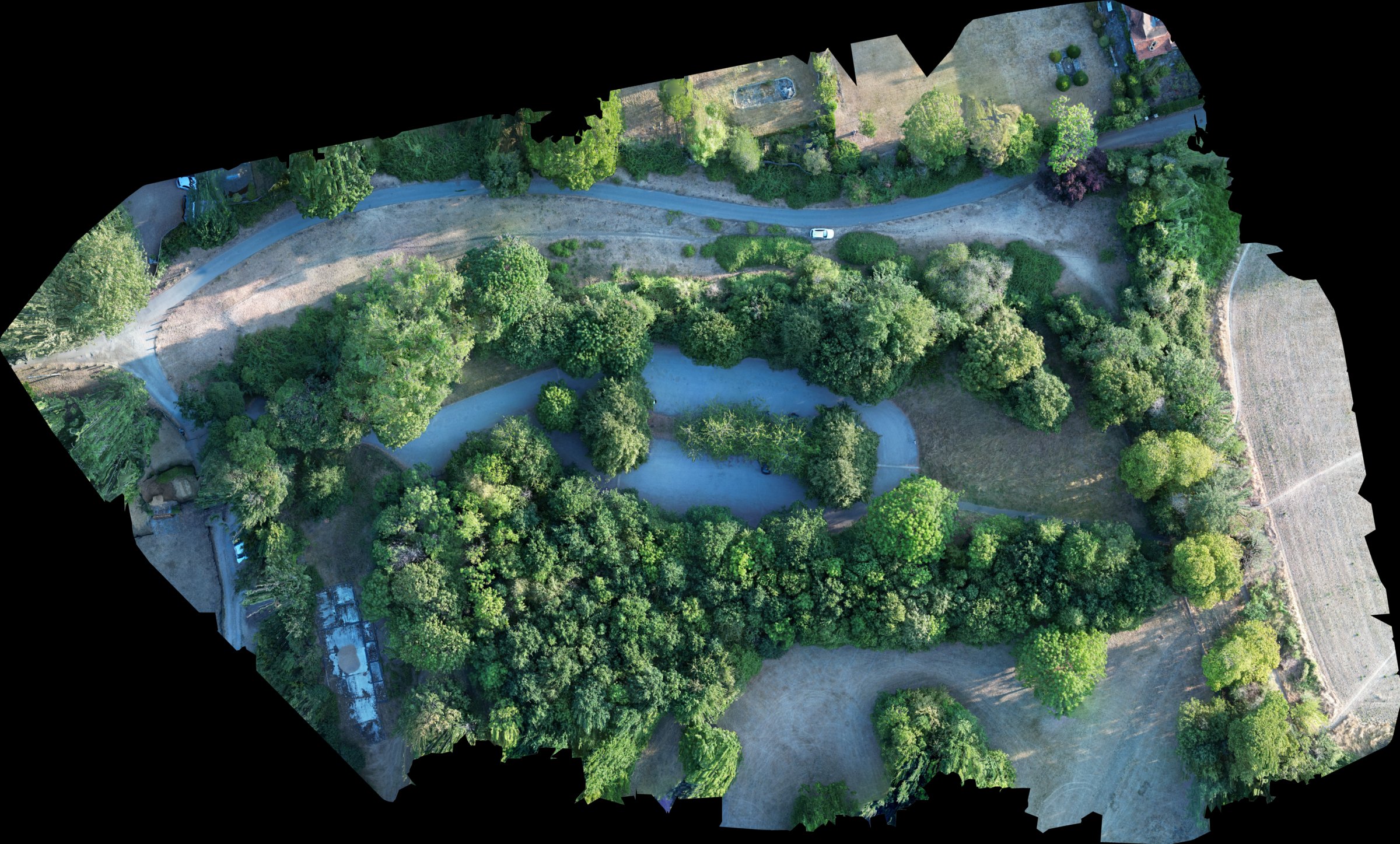 Orthomosaic of Ramblers Car Park on 3 August 2026, the baseline capture — a 3.88 hectare woodland car park seen from directly above, assembled from 226 aerial frames.